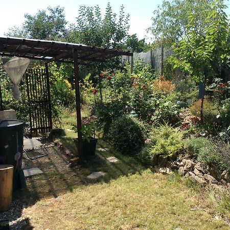 Gite Le Faucon Pelerin Scherwiller Exterior foto